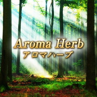 宮城 仙台 メンズエステ 『Aroma Herb-アロマハーブ-』